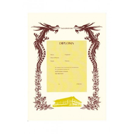 DIPLOMA ARTI MARZIALI