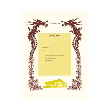 DIPLOMA ARTI MARZIALI